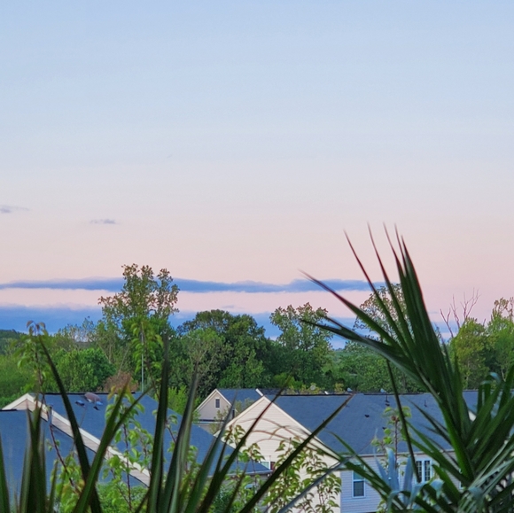 Blue - Picture 2 of 5